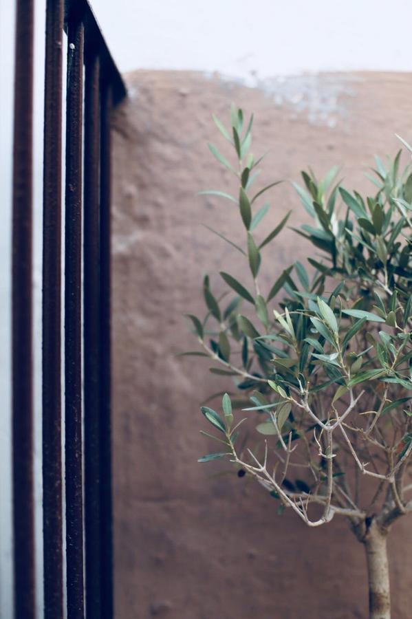 Bed and Breakfast La Mitria Trani Exterior foto